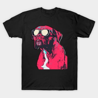 Cool Boxer Dog Wearing Sun Glasses T-Shirt